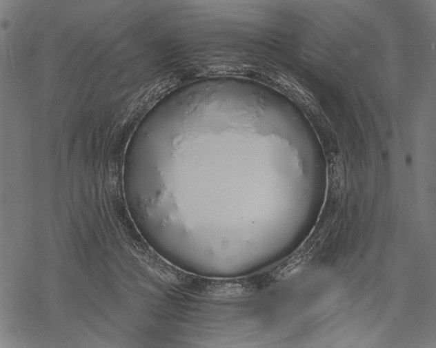 X0000068310361200605051537