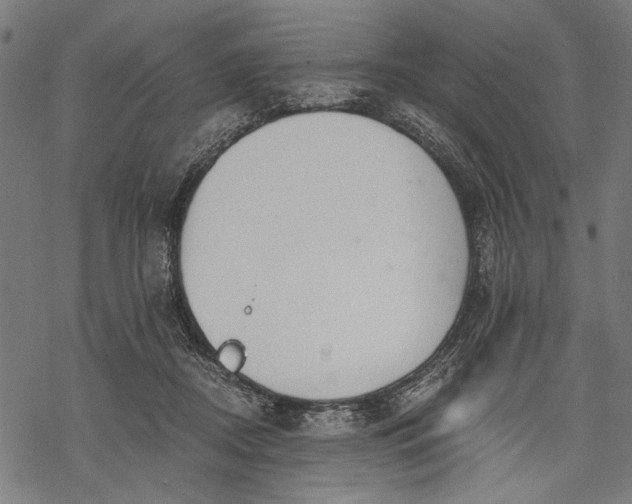 X0000068310362200605051537