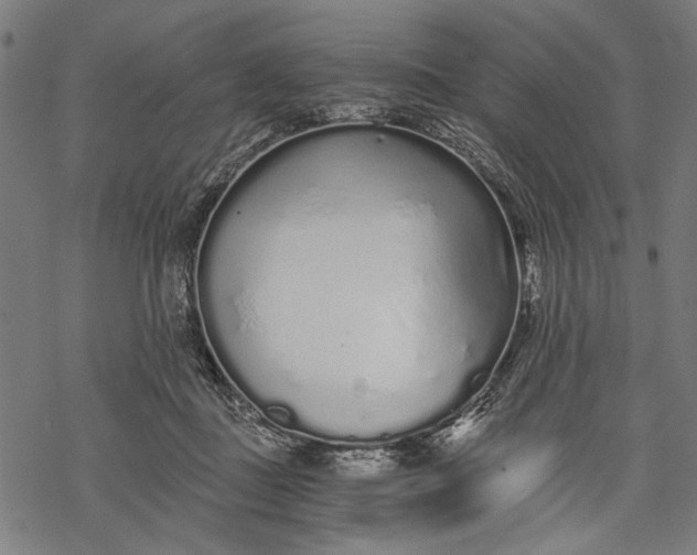 X0000068310363200605051537