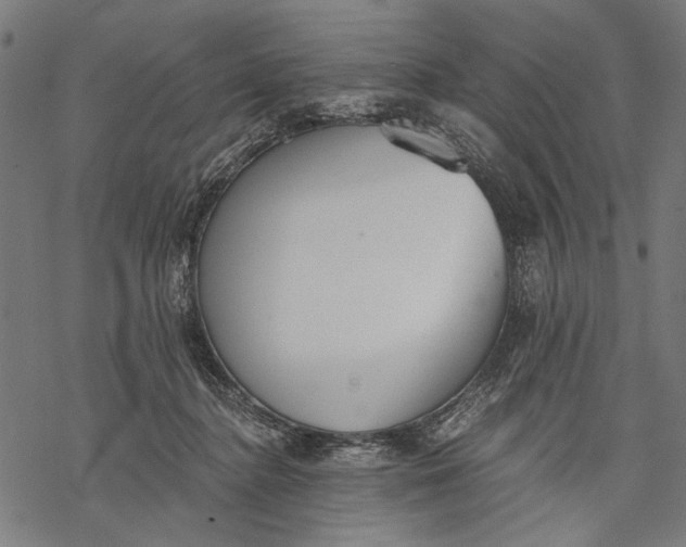 X0000068310364200605051537