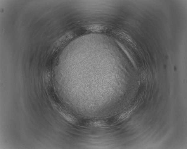 X0000068310365200605051537