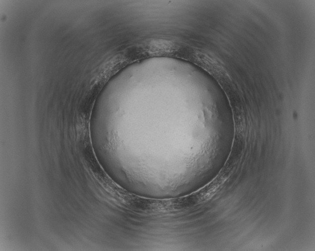 X0000068310367200605051537