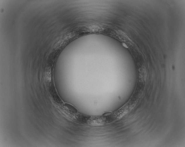 X0000068310368200605051537