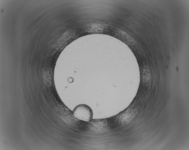 X0000068310370200605051537