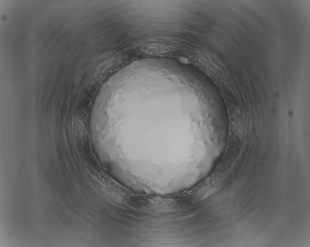 X0000068310371200605051537