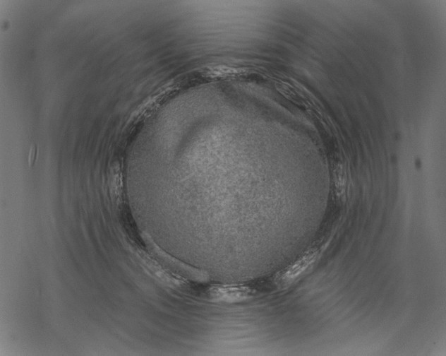 X0000068310372200605051537