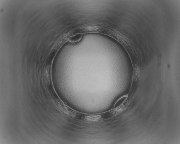 X0000068310373200605051537