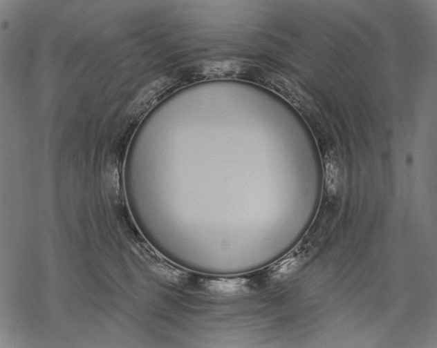 X0000068310375200605051537