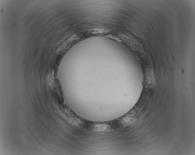 X0000068310376200605051537