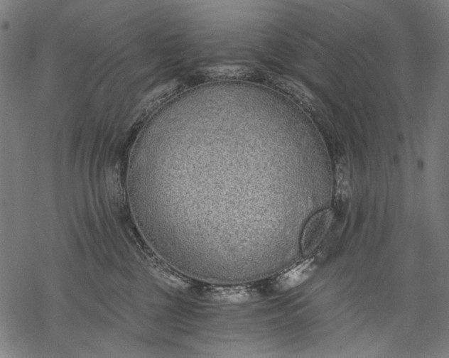 X0000068310377200605051537