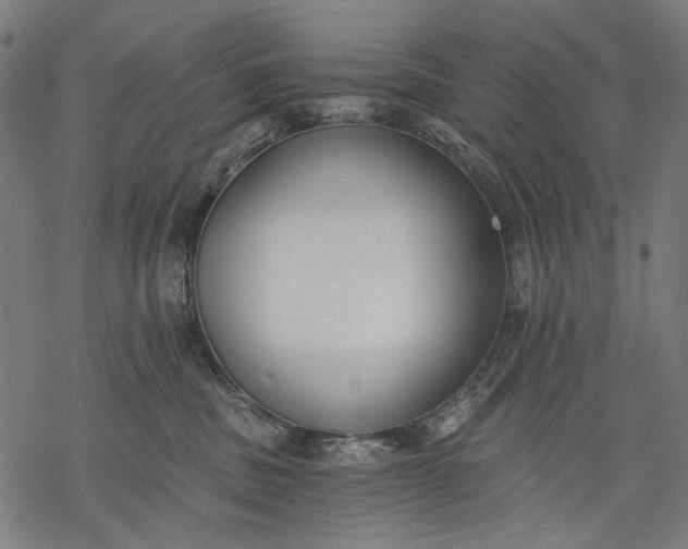 X0000068310379200605051537