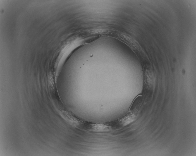 X0000068310380200605051537