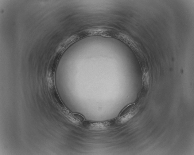 X0000068310381200605051537