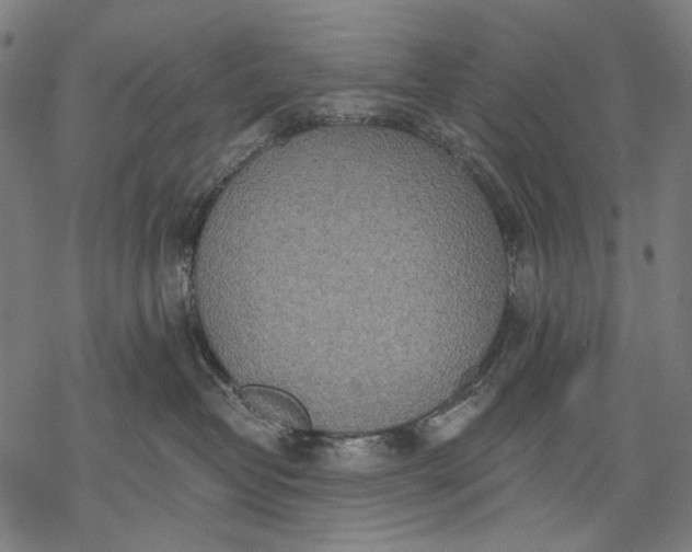 X0000068310382200605051537