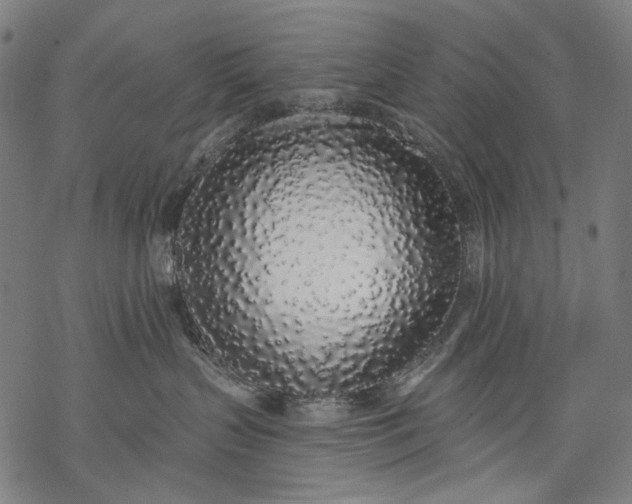 X0000068310383200605051537