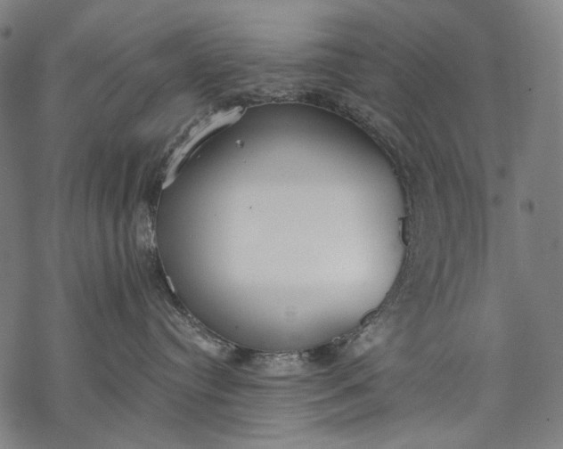 X0000068310384200605051537