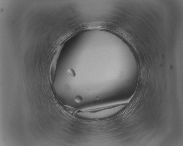 X0000068310385200605051536