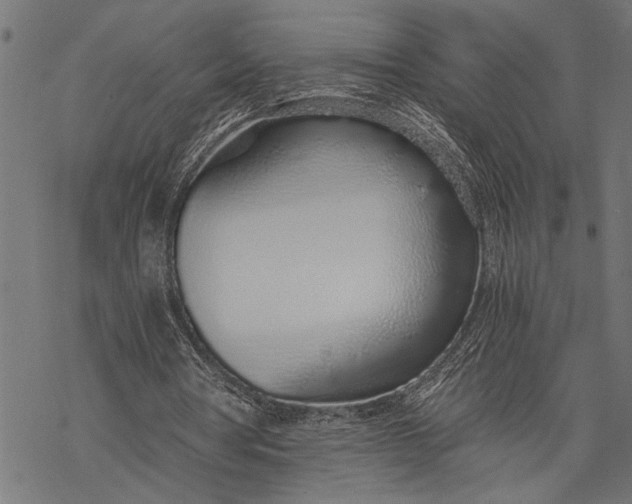 X0000068310386200605051536