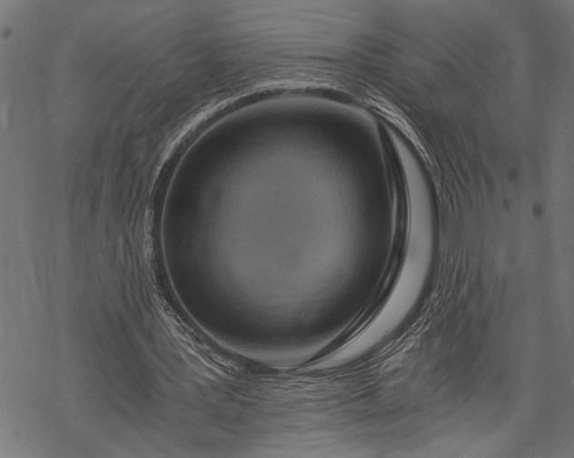 X0000068310387200605051536