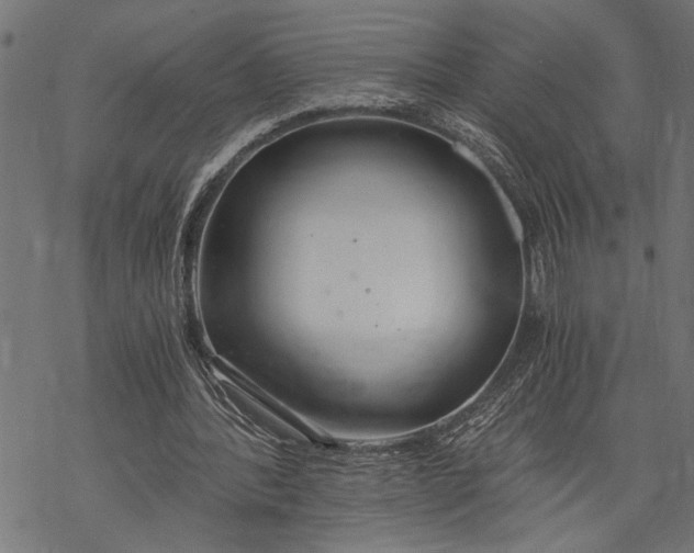 X0000068310388200605051536