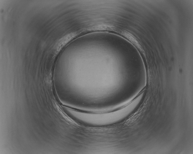 X0000068310389200605051536