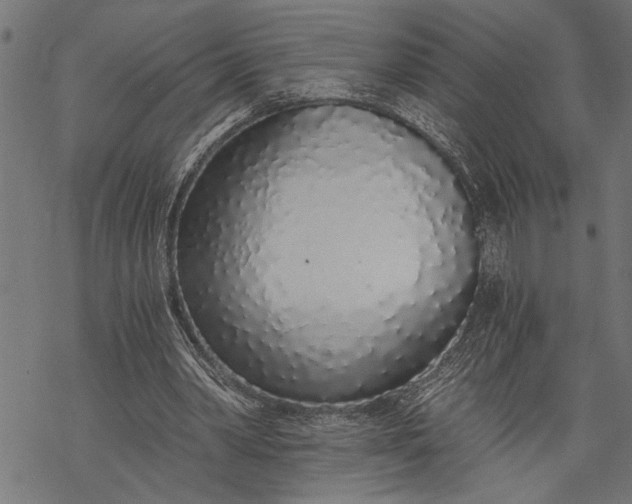 X0000068310390200605051536