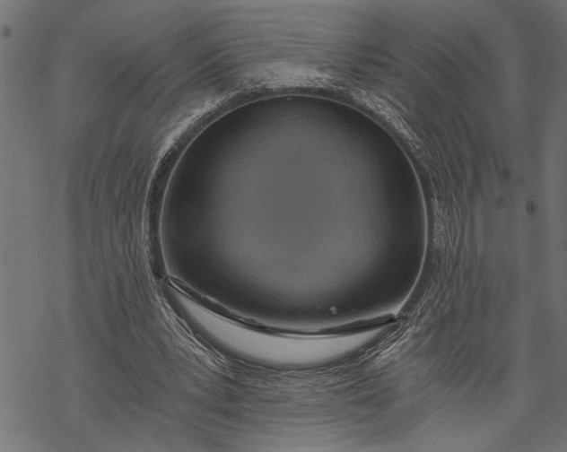 X0000068310391200605051536