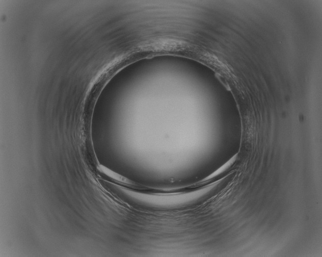 X0000068310392200605051536