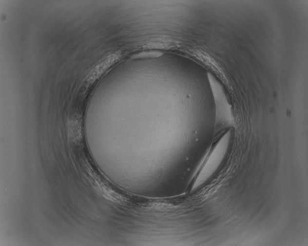 X0000068310393200605051536