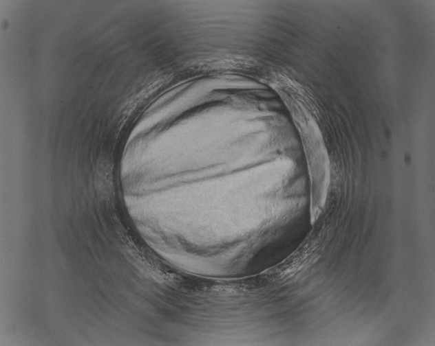 X0000068310394200605051536