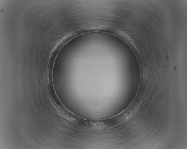 X0000068310395200605051536