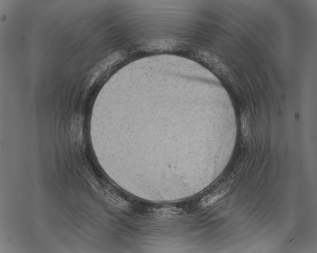 X0000068310396200605051536