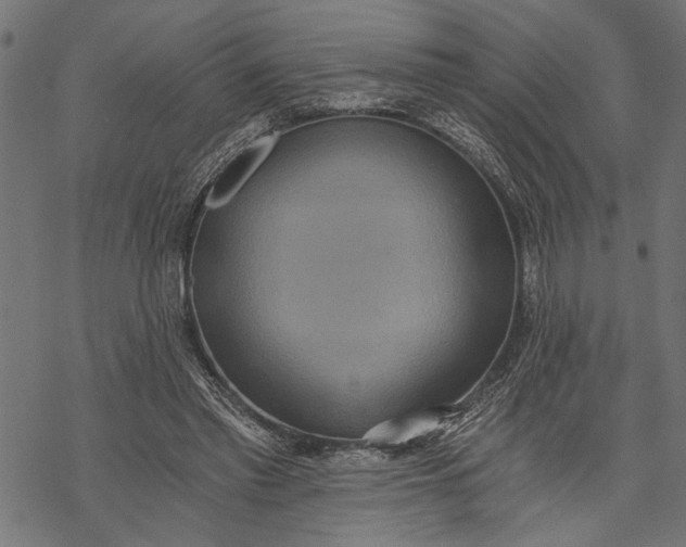 X0000068310397200605051536