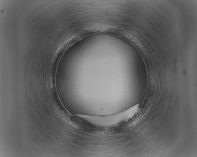 X0000068310399200605051536