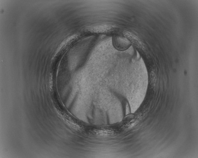 X0000068310400200605051536