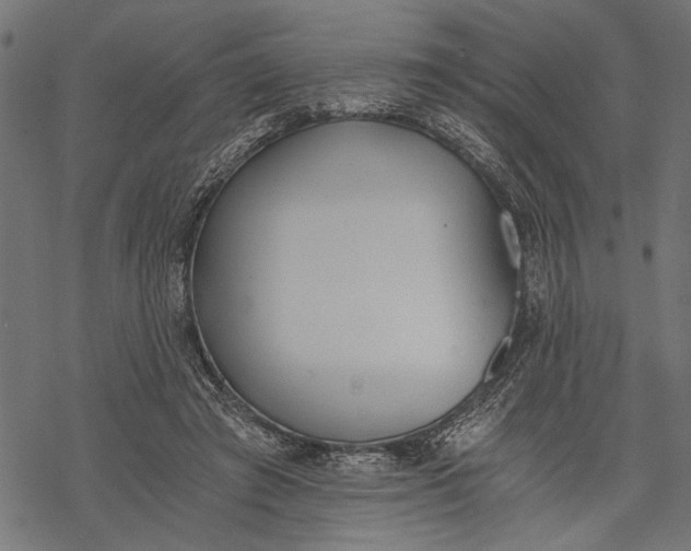 X0000068310401200605051536