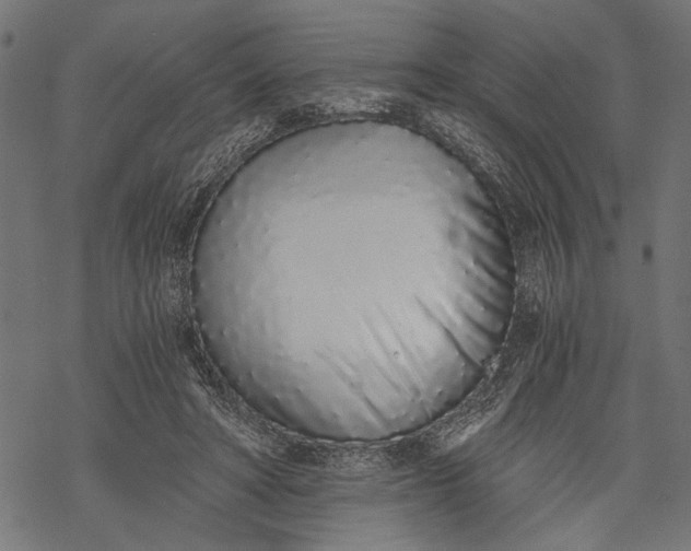 X0000068310402200605051536