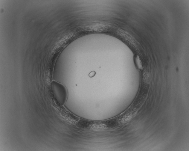 X0000068310403200605051536