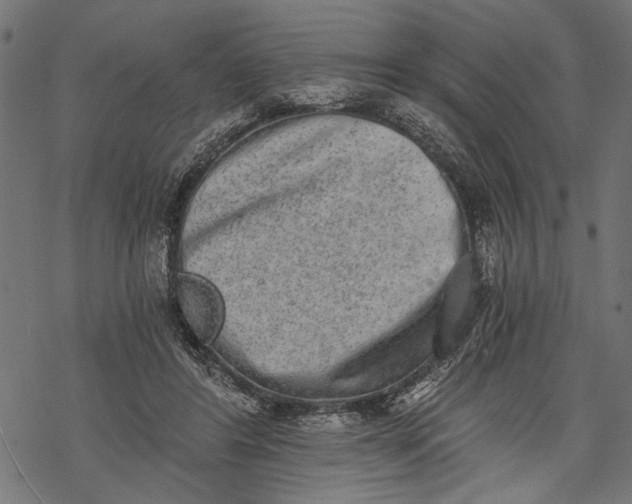 X0000068310404200605051536