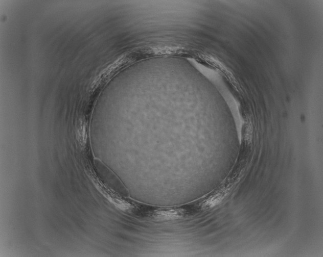 X0000068310405200605051536