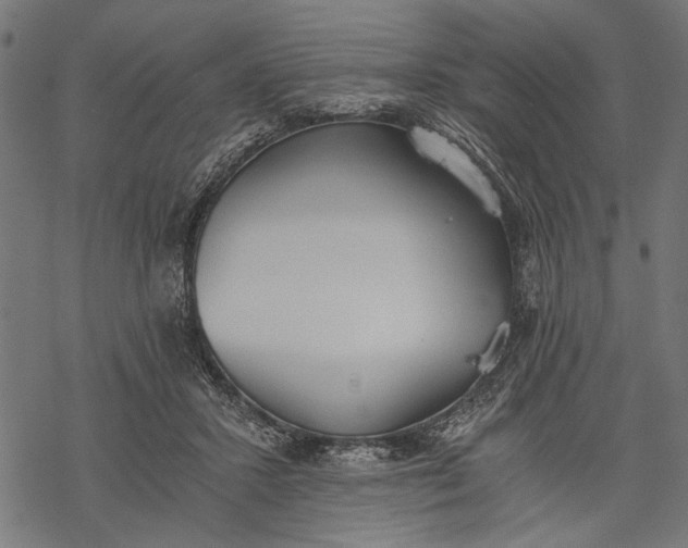 X0000068310407200605051536