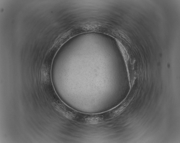 X0000068310408200605051536