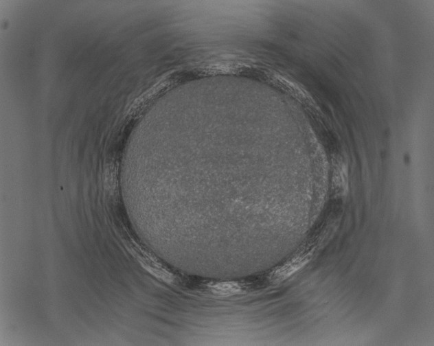 X0000068310409200605051536