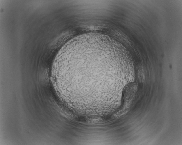 X0000068310410200605051536