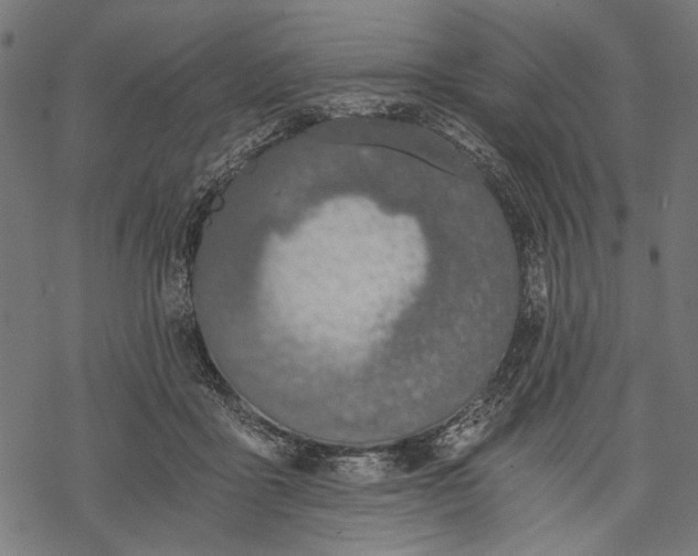 X0000068310411200605051536