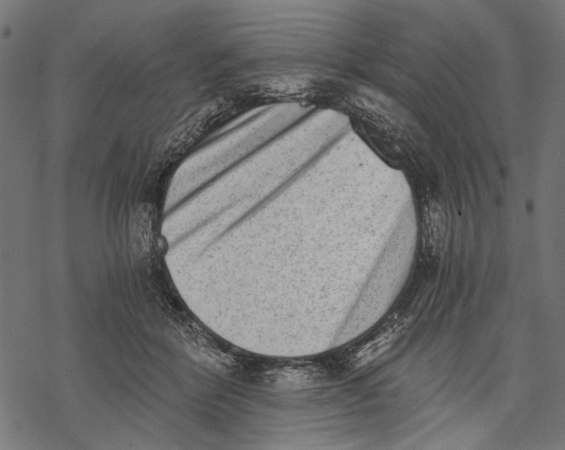 X0000068310412200605051536