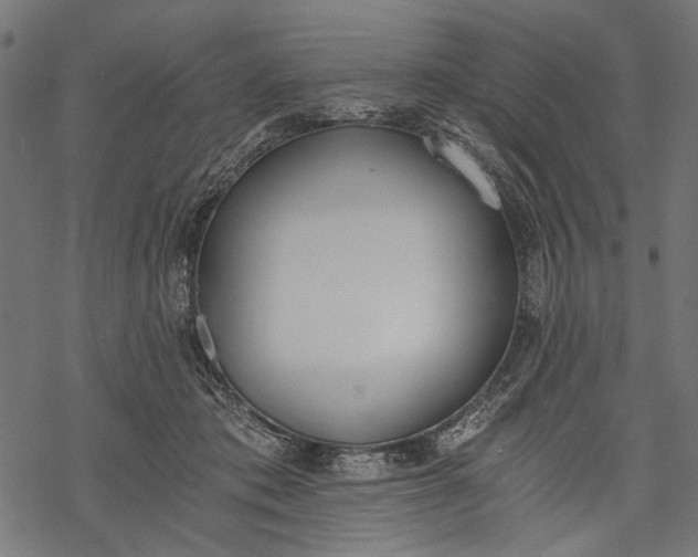 X0000068310413200605051536