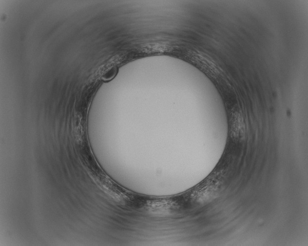 X0000068310414200605051536