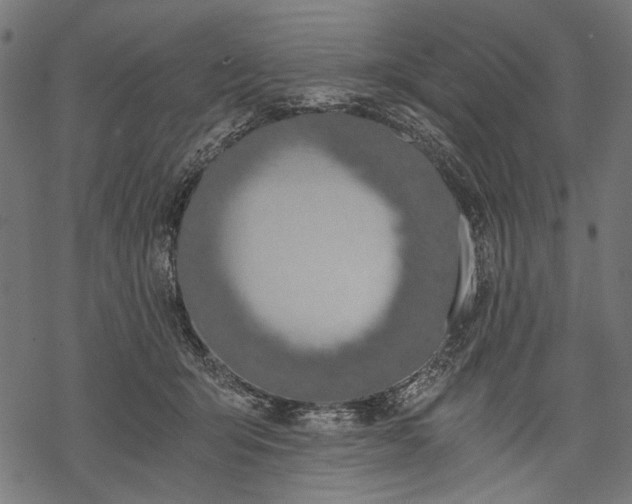 X0000068310415200605051536