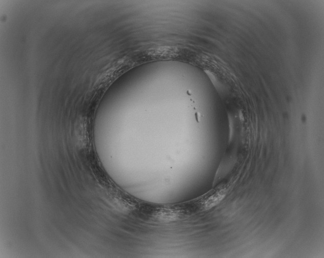 X0000068310416200605051536